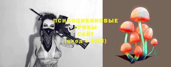 PSILOCYBIN Волосово