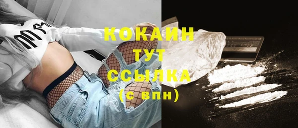 PSILOCYBIN Волосово