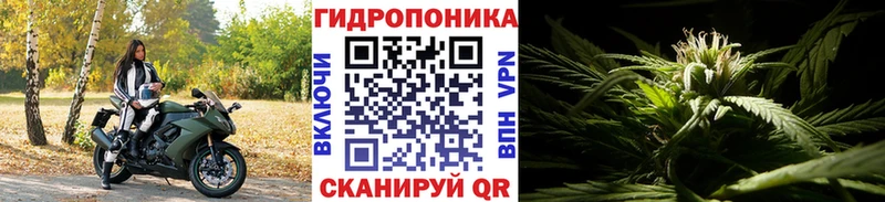 Бошки марихуана THC 21%  где купить   Злынка 